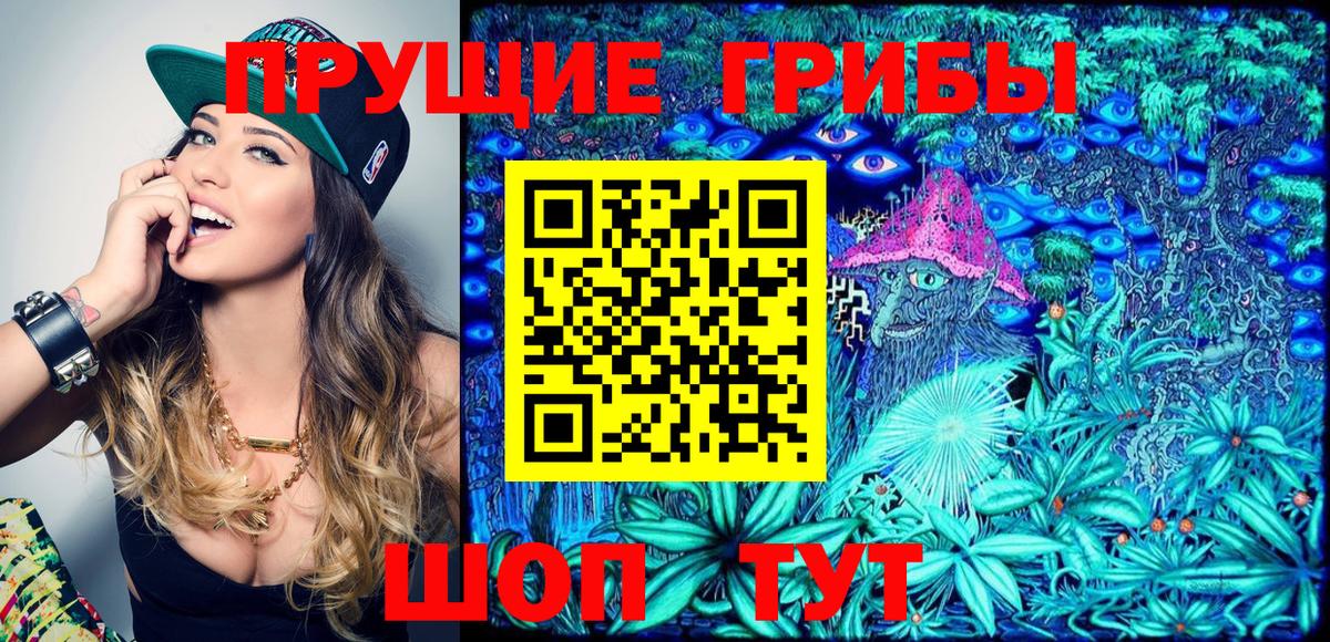 Галлюциногенные грибы Cubensis  Вход с VPN  Богданович  Галлюциногенные грибы прущие грибы 
