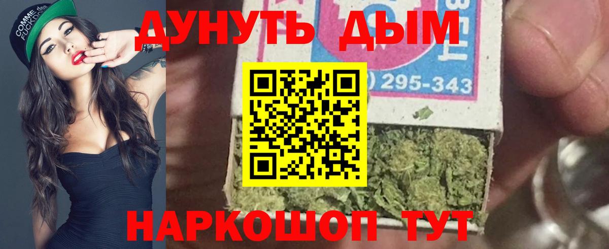 Каннабис конопля Богданович